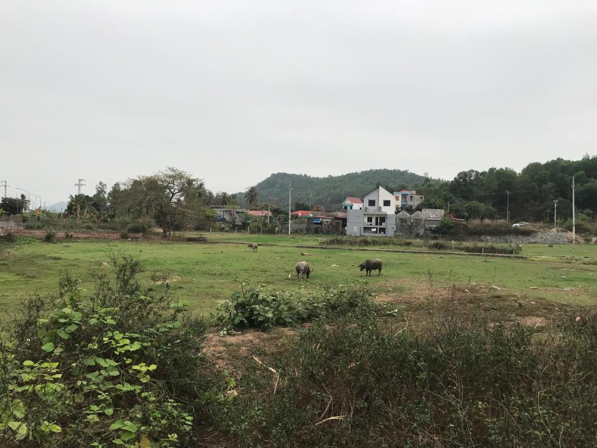 Bee Lucky Homestay Xuan Dam Bagian luar foto