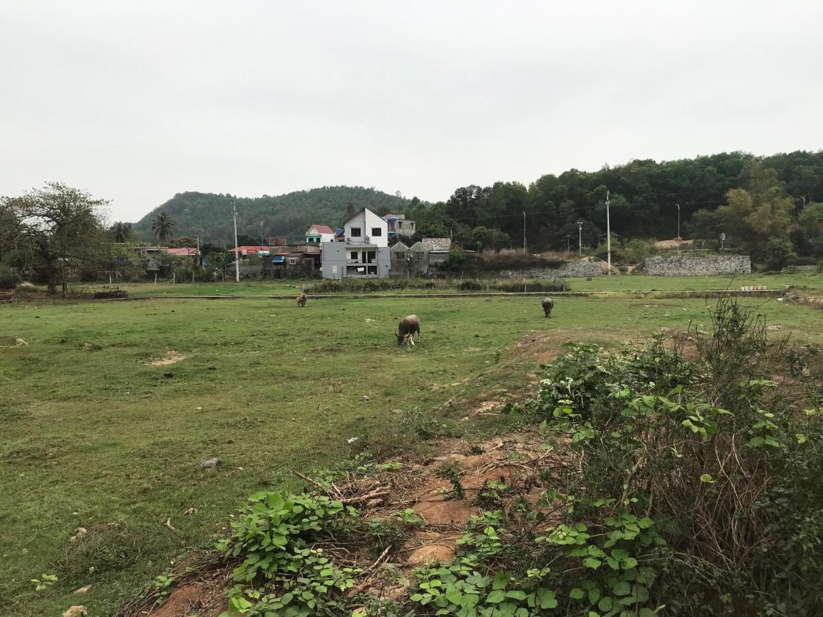 Bee Lucky Homestay Xuan Dam Bagian luar foto